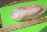 Giải cứu lợn: Đơn hàng nghìn tấn cho nông dân xuất khẩu lợn chính ngạch