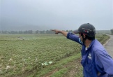 Hà Tĩnh: Dân 'ngập nước mắt' vì đất nông nghiệp bị sình lầy