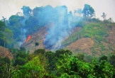 Hà Tĩnh: Án mạng kinh hoàng tại trạm kiểm lâm bảo vệ rừng