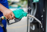 Giá xăng có thể tăng 500-700 đồng/lít trong kỳ điều chỉnh tới