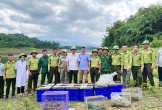 Vườn Quốc gia Vũ Quang (Hà Tĩnh) tái thả 56 cá thể động vật hoang dã về môi trường tự nhiên