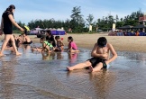 Hà Tĩnh: Hàng trăm du khách tắm biển 'hoảng hồn' chạy lên bờ gãi ngứa vì gặp... sứa độc
