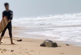 Phát hiện 7 thi thể ở bãi biển Phú Quốc