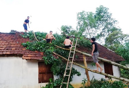 Cây cối gãy đổ đè lên nhà ở xã Đồng Lộc.