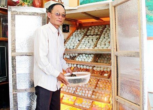 Ông Trần Văn Tường bên lò ấp trứng vịt trời do mình tự tay sáng chế và lắp ráp.
