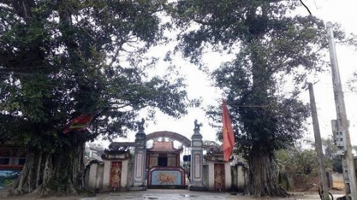 Đền thờ Mai Hắc Đế nhìn từ cổng chính với hai cây đa cổ thụ. Ảnh: Văn Hoàng 
