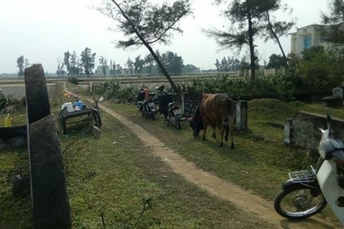 Đường tắt từ trụ sở Bảo hiểm xã hội ra UBND huyện Lộc Hà 