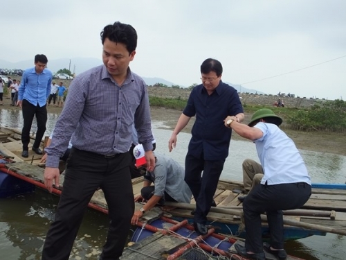 Phó Thủ tướng Trịnh Đình Dũng trực tiếp ra thăm hộ nuôi lồng bè trên sông.
