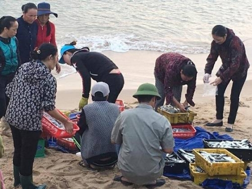 Cơ quan chức năng Hà Tĩnh lấy mẫu kiểm nghiệm tại chợ cá xã Thạch Kim, huyện Lộc Hà. Ảnh: Nhật Thắng