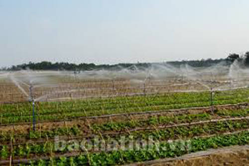 Công nghệ tưới nước hiện đại được đưa vào phục vụ dự án tại Thạch Văn. Ảnh: Báo Hà Tĩnh