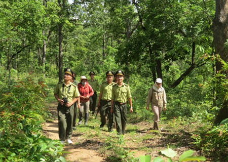Lực lượng Kiểm lâm Hà Tĩnh đi tuần tra kiểm soát rừng (ảnh: Lê Văn Vĩnh)