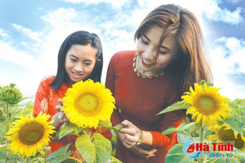 Rực vàng hoa hướng dương ở Khu du lịch Đồng Nôi (thị trấn Thiên Cầm, Cẩm Xuyên)