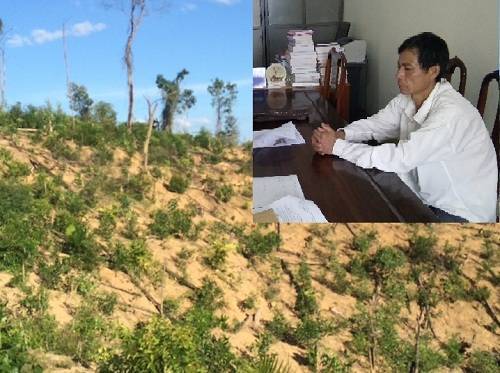 Đối tượng Hà Thừa Thìn và hiện trường vụ phá rừng