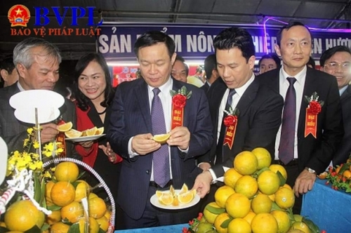 Phó Thủ tướng Vương Đình Huệ và các đại biểu tham dự lễ hội trực tiếp thưởng thức vị thơm, ngọt đặc trưng của thương hiệu cam Hà Tĩnh...