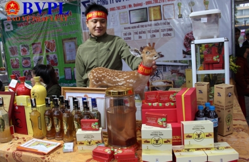 Lễ hội Cam và các sản phẩm nông nghiệp lần thứ 2 còn có sự góp mặt của nhiều sản phẩm nông nghiệp tiêu biểu của Hà Tĩnh khác như: Nhung hươu, rượu nhung hươu, trầm hương, mật ong...