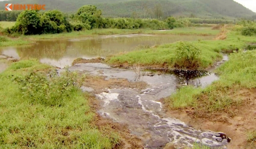 Nhà máy mía đường Tuy Hòa xả nước thải trực tiếp ra môi trường. (nguồn : Zing)