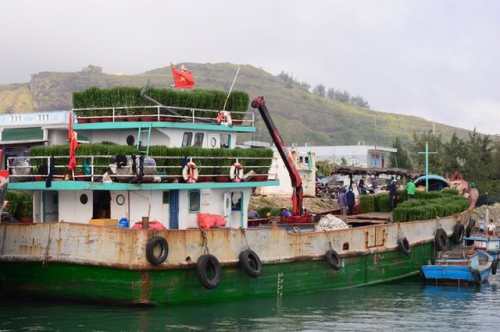 Đã có hơn 600 tấn hàng cập cảng phục vụ nhu cầu tiêu dùng của người dân Lý Sơn trong dịp Tết