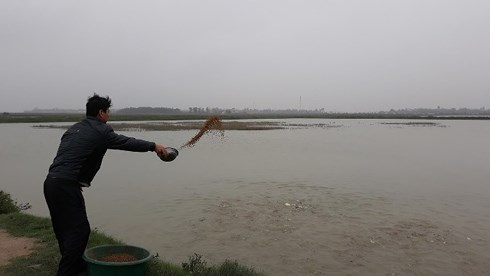 Xã Thạch Kênh tạm thời cho một doanh nghiệp địa phương thuê đất để nuôi khoảng 10 hồ cá nhằm khai thác và bảo vệ hạ tầng.