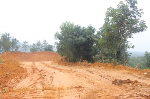 Diện tích đất bị khai thác trái phép thuộc quản lý của Công ty Cao su Hương Khê gần khu vực mỏ được cấp phép của Công ty TNHH Thuận Hoàng