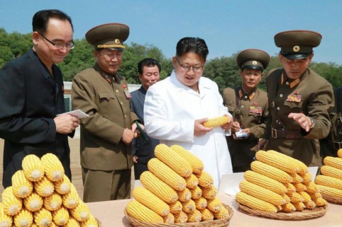 Ông Kim Jong-un tới thăm một nông trại tại Triều Tiên (Ảnh: Reuters)