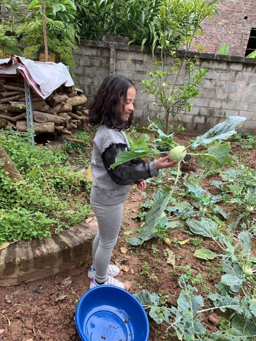 Bé Nhím và bé Kẹo thích thú với các loại rau sạch trong vườn nhà.