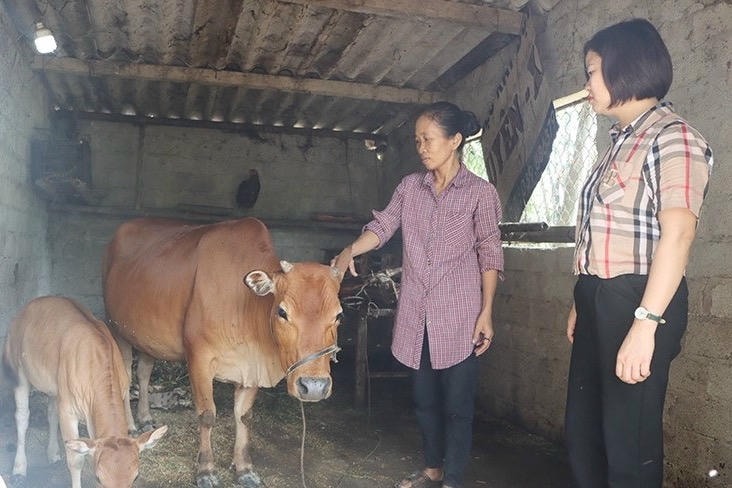 Hà Tĩnh tăng tốc giảm nghèo bền vững