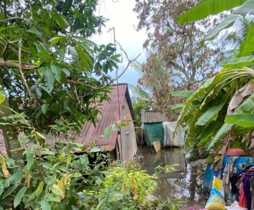 Hai mẹ con tại tỉnh Đồng Tháp tử vong do điện giật, hoàn cảnh rất khó khăn