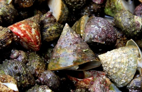 Tên gọi khiến nhiều người