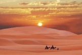 Sa mạc 