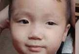 Nghệ An: Tìm thấy cháu bé hai tuổi mất tích sau 3 ngày tìm kiếm