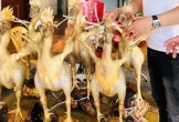 'Phi đội gà bay' cúng Rằm tháng giêng ở Hà Tĩnh gây sốt