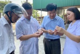 Xác định được loại côn trùng 'lạ' khiến hàng trăm người ở Hà Tĩnh bị viêm da dị ứng