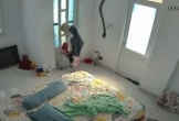 Bật camera lên xem thấy 'bé Na' đang ngoe nguẩy trong phòng ngủ, về nhà phát hiện điều kinh hoàng hơn