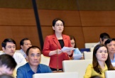 ĐBQH Phan Thị Nguyệt Thu (Hà Tĩnh): Cân nhắc việc công khai thông tin tổ chức, cá nhân kinh doanh bị kiện
