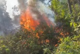 Hàng trăm người tham gia dập đám cháy rừng ở Hà Tĩnh