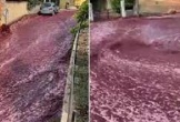Hơn 2 triệu lít rượu vang đổ ra đường, thị trấn biến thành màu đỏ