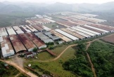 Đại dự án hoang tàn ở Hà Tĩnh: Kế hoạch nuôi 250.000 con bò đổ vỡ, nghìn ha đất bỏ phí