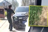Người phụ nữ đập nát xe sang vì tài xế dám cán qua cây tỏi cô trồng