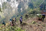 Hai kiểm lâm tử vong khi tham gia chữa cháy rừng