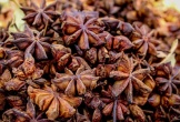 Loại hoa được coi là “báu vật” trời ban, Việt Nam vừa xuất khẩu hơn 1.000 tấn sang Ấn Độ
