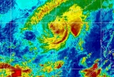 Bão Thần Gió cách Đà Nẵng 230km, sáng mai đổ bộ