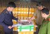 Mua cá khoai chứa formol từ Trung Quốc 37.000 đồng, chở về biển Sầm Sơn bán 130.000 đồng/kg