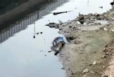 Phát hiện thi thể nổi trên sông Tô Lịch