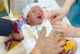 Bé gái sơ sinh bị bỏ rơi giữa cánh đồng ở Hà Tĩnh