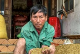 Mất mùa ngay trong nhà, nông dân Hà Tĩnh bật khóc