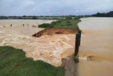Hà Tĩnh: Đê đập Hà bị vỡ sau mưa lớn