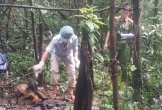 Phát hiện bộ xương trong rừng sâu, nghi của người bị truy nã