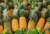 Lợi ích tuyệt vời của quả dứa