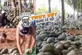 Sự thật về clip hàng tấn dưa hấu ở Bình Dương bị thương lái từ chối, người dân ăn không xuể