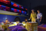 Hà Tĩnh: Thu giữ 240kg chả mực không rõ nguồn gốc